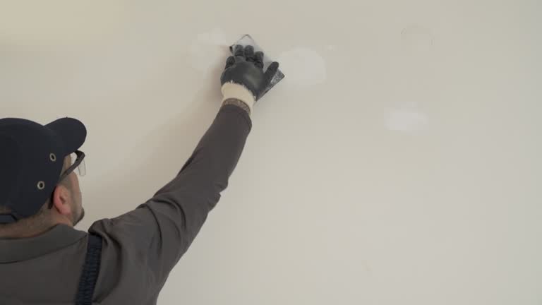 Best Repainting for Renovations  in East Palo Alto, CA